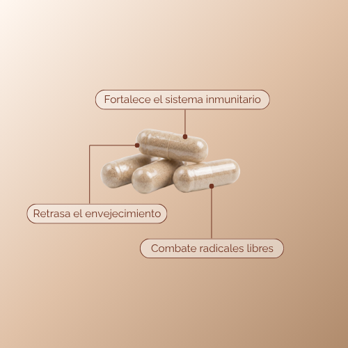 The Antioxidant Formula en cápsulas x 120