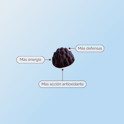 Elderberry & Vitamin C en Gummies x 60