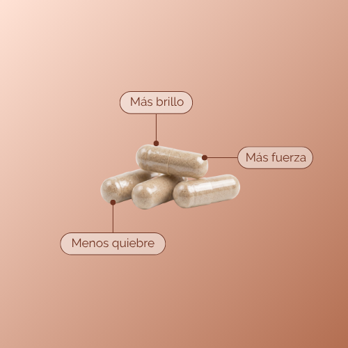 Hyaluronic Collagen Booster en cápsulas x 120