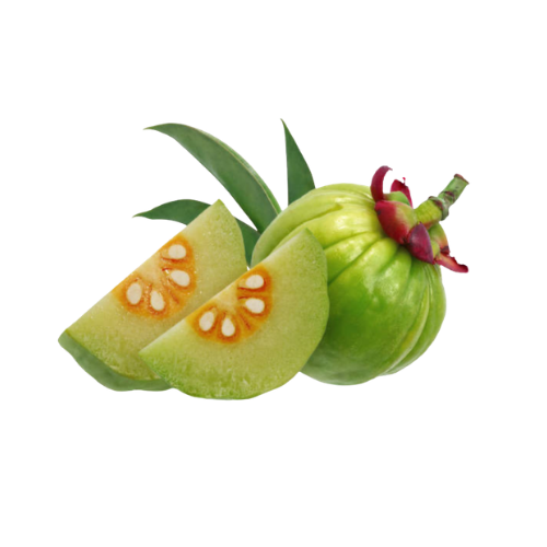 Garcinia Cambogia